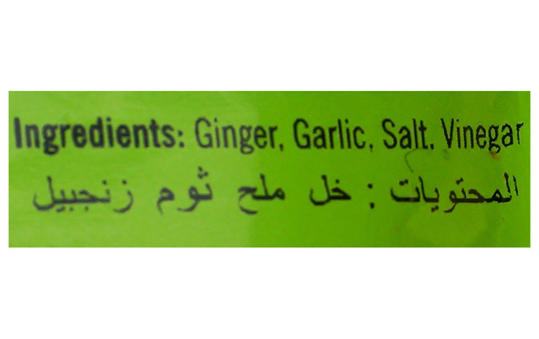 Double Horse Ginger-Garlic Paste    Pack  100 grams